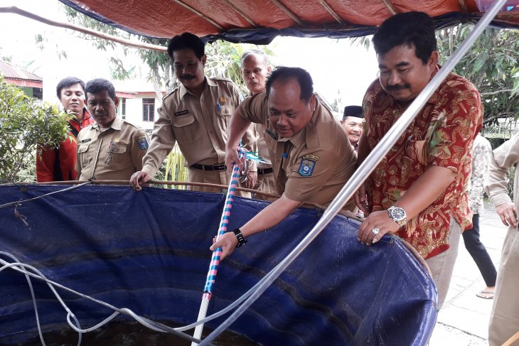 Pemkab Bangka Tengah salurkan 1.000 bibit lele kepada komunitas wartawan
