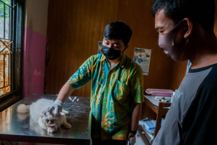 Khawatir corona, warga Pandeglang rutin periksa kesehatan hewan peliharaan