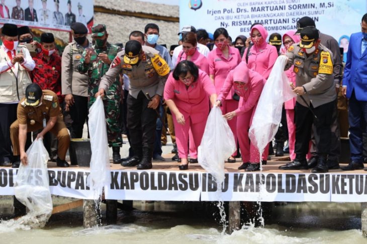 Kapolda Sumut tabur sepuluh ribu bibit ikan di Batubara