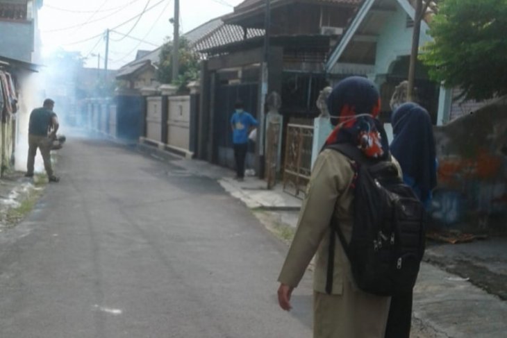 Dinkes Ambon intensifkan pengasapan antisipasi penyebaran DBD