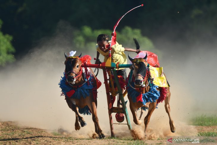 Foto Pilihan Antara Jatim Juni