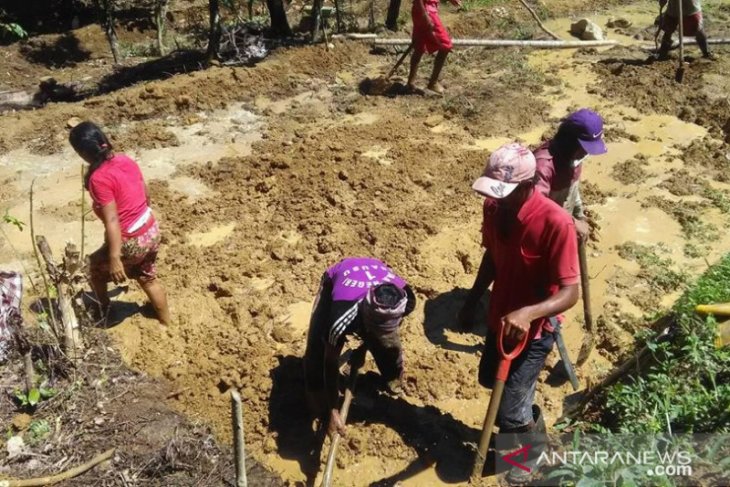 Kemendagri sinergikan kerja sama daerah wujudkan ketahanan pangan