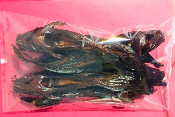 DKP Bangka Barat dorong warga geluti usaha pengolahan ikan