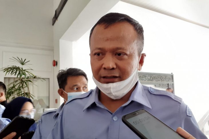 Seekor lobster bisa hasilkan sejuta telur
