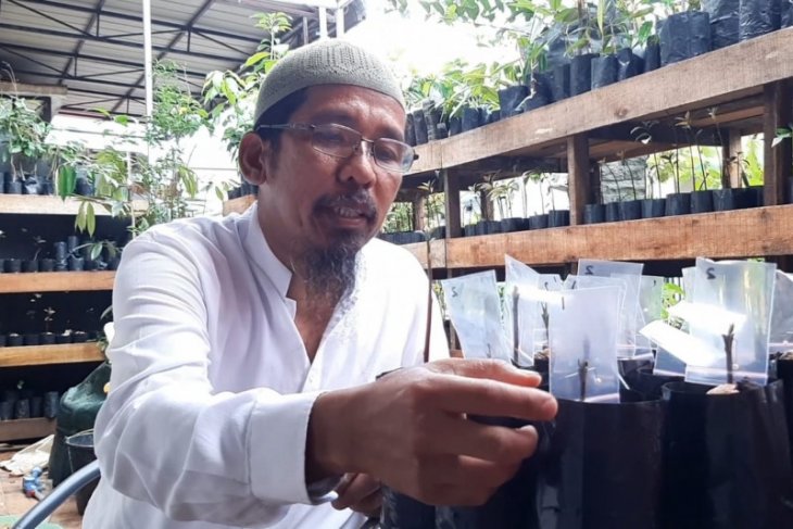 Distan Kalbar : Alpukat lilin Singkawang saat ini semakin diminati