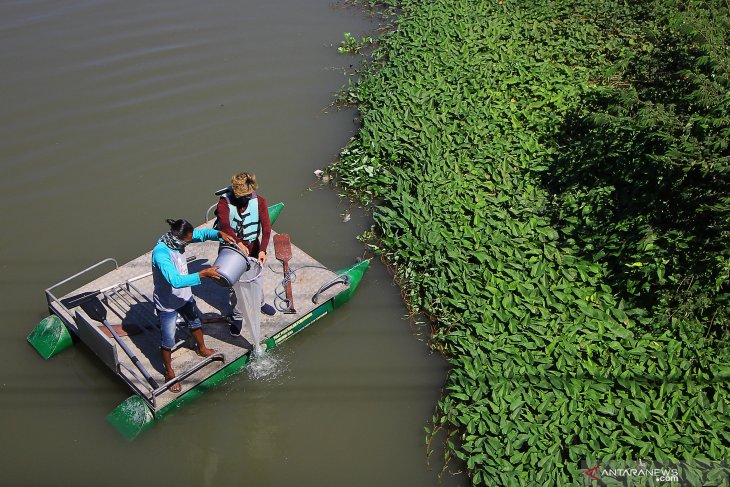 Penelitian Kandungan Mikroplastik di Sungai Surabaya
