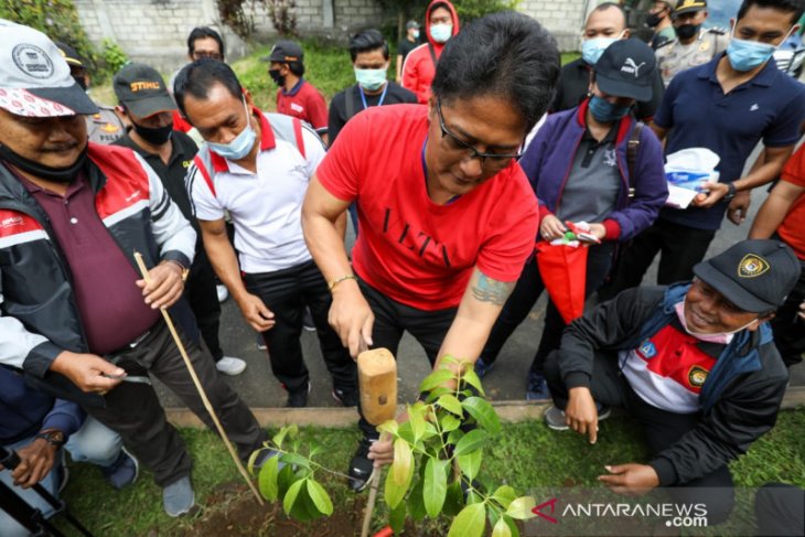 Pemkab Badung tanam pohon badung untuk lestarikan lingkungan