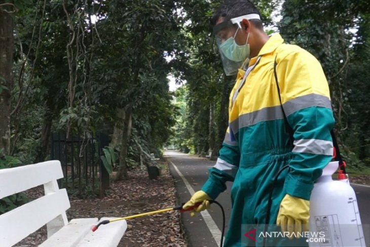 Kebun Raya Bogor siap dibuka kembali untuk umum Selasa besok