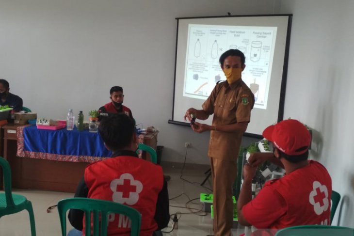 Tingkatkan ketahanan pangan dengan manfaatkan perkarangan rumah