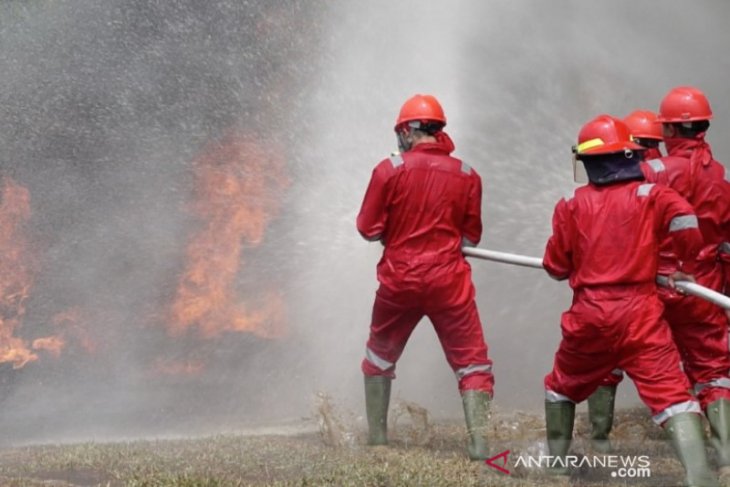 Di tengah terjadinya pandemi, PT Tri Buana Mas tidak lengah antisipasi Karhutla