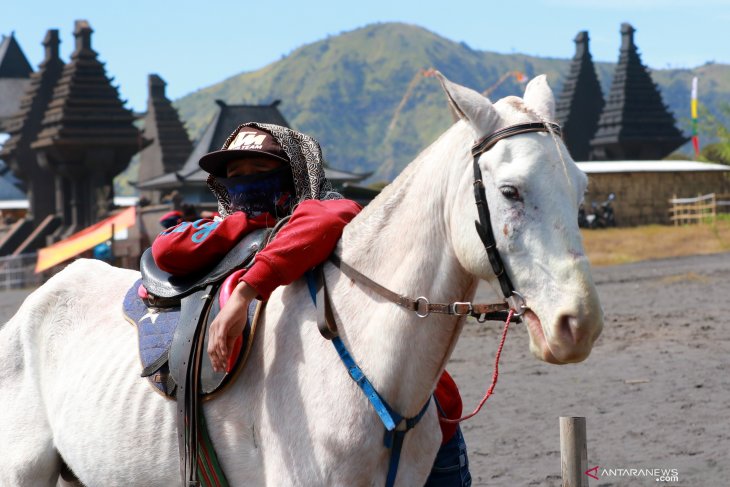 Jasa penyewaan kuda di Bromo