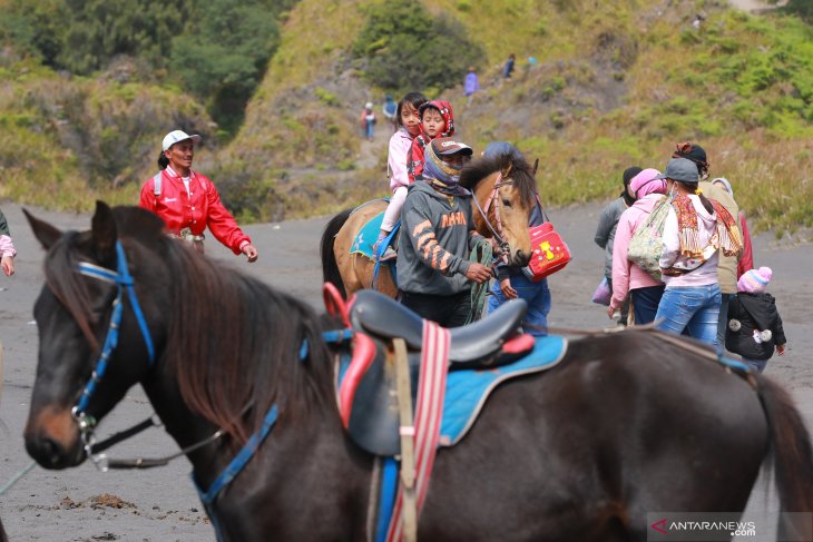 Jasa penyewaan kuda di Bromo