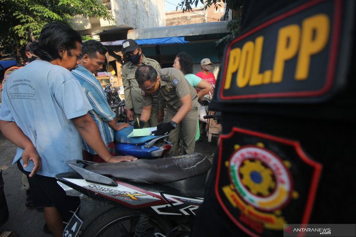 Pelanggar Protokol Kesehatan