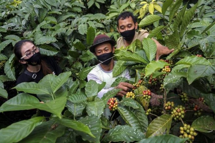 Edukasi kepada petani kopi