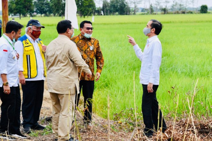 Antisipasi krisis pangan, Indonesia perlu lumbung pangan baru