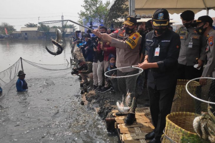 Kapolda: Ketahanan pangan bagian dari Kampung Tangguh COVID-19