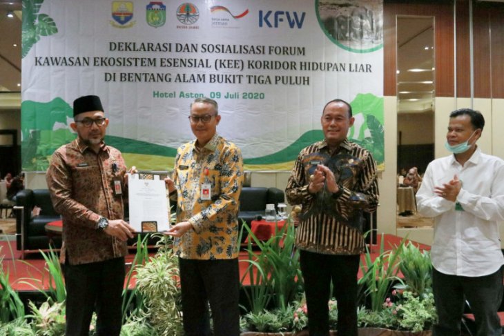 Pemprov Jambi dukung konservasi Gajah Sumatera di Bentang Alam Bukit Tiga Puluh