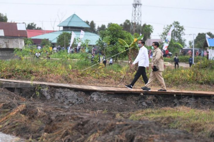 Presiden Tinjau Lahan Food Estate