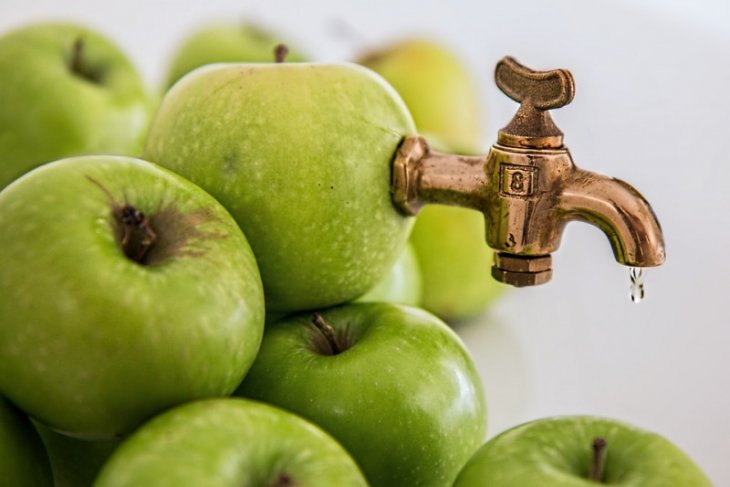 Sehatkah hanya minum jus sayur dan buah seharian?