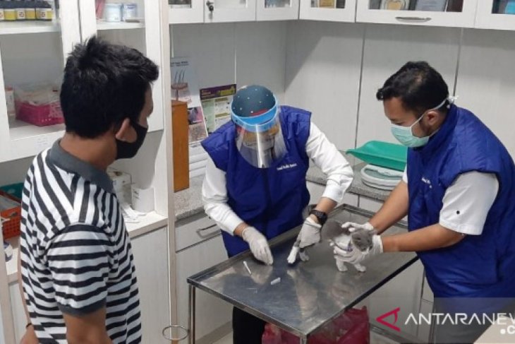 Gratis pemeriksaan kesehatan hewan peliharaan di klinik hewan DKP