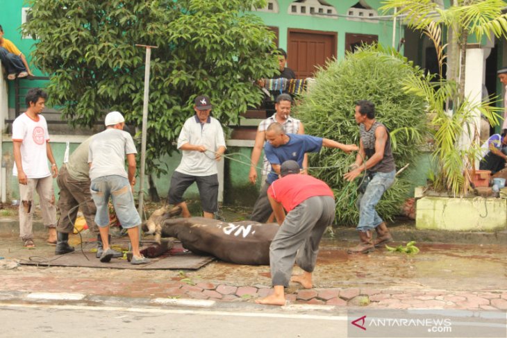 Balikpapan tunggu surat Kementerian Agama terkait ibadah Idul Adha1441H