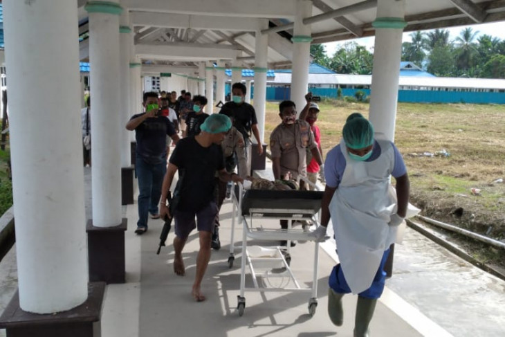 Buronan Polres Manokwari dibekuk di Wasior