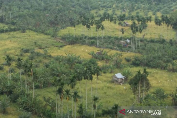 Mukomuko bangun embung untuk pengairan sawah
