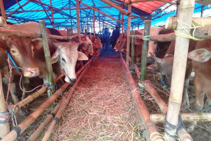 Pemkab Purwakarta melarang penjualan hewan kurban di trotoar jalan perkotaan