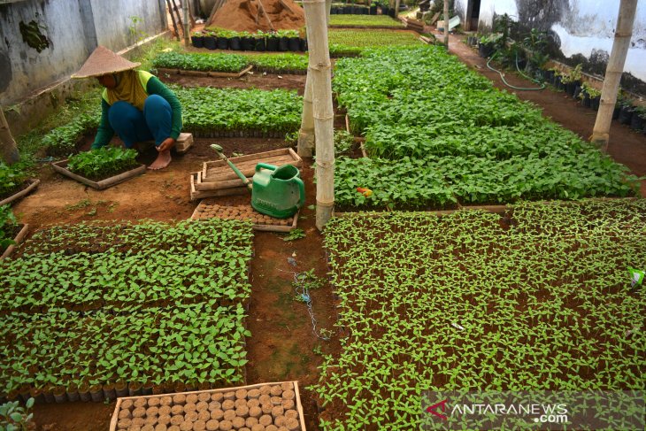 Kampung Penyemaian Benih