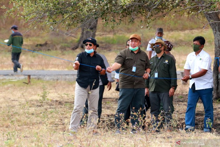 Pelepasliaran satwa di Taman Nasional Baluran