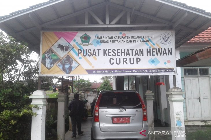 Rejang Lebong butuhkan tambahan 10.000 vaksin HPR