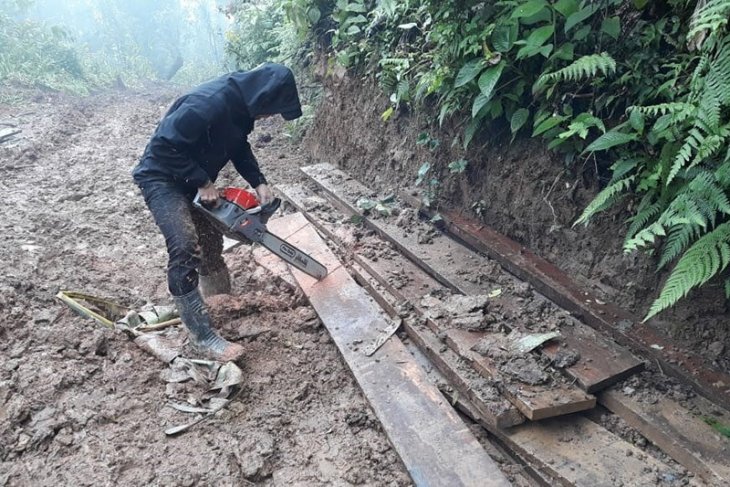 Polda Aceh tangani kasus pembalakan liar di Pidie