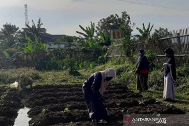 Pemkot Bogor kembangkan