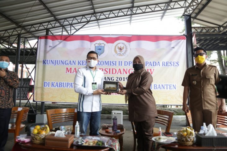 Bupati Irna minta bantuan DPR perjuangkan tenaga honrer