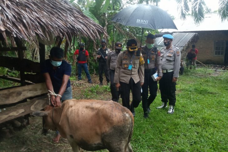 Polisi tangkap sindikat pencuri ternak saat beraksi