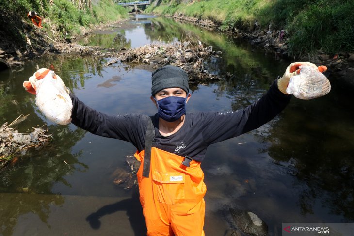 Sungai brantas tercemar popok bayi