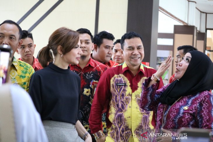 Ikapi apresiasi webinar Dispersip Kalsel hadirkan Najwa Shihab
