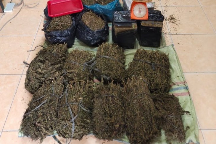 Penyeludupan ganja seberat 36 kilogram digagalkan polisi