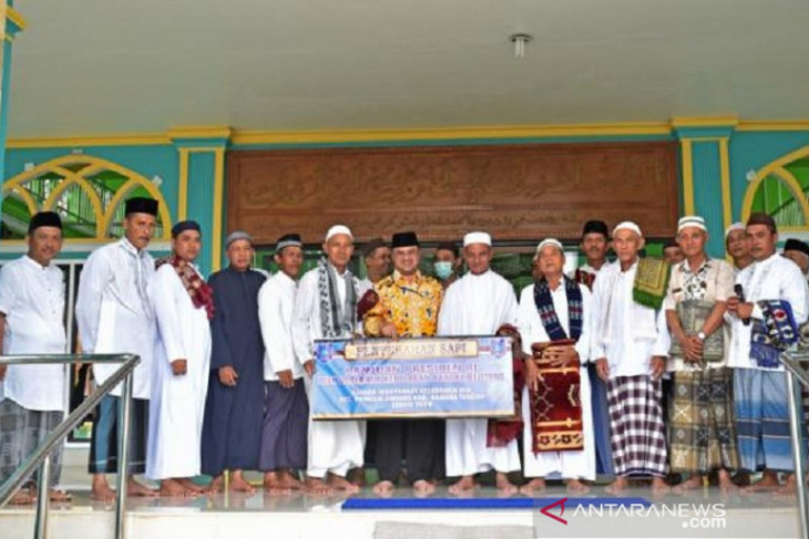 Gubernur Babel serahkan sapi kurban dari Presiden ke Kampung Dul
