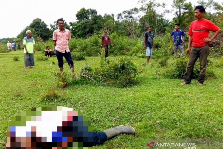 Jasad petani diduga korban pembunuhan di Aceh Barat mengenaskan, ditangannya ada parang
