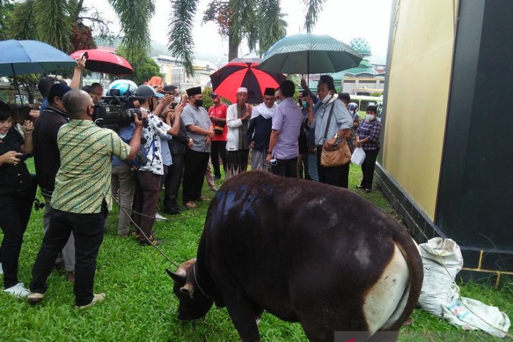 DPRD Maluku serahkan bantuan hewan kurban ke Masjid Raya Al-Fatah Ambon