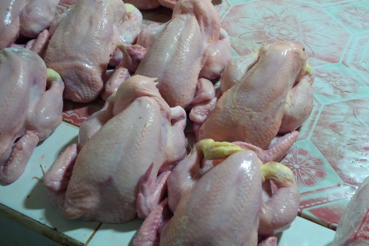 Harga daging ayam jelang Idul Adha 1441 Hijriah di Ternate melonjak