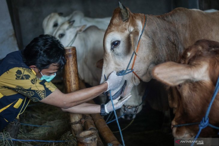 Pemkab Aceh Besar tempatkan petugas pengawasan kurban di 604 gampong