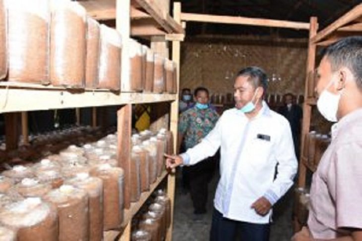 Pemkab Serdang Bedagai terus dorong pengembangan UMKM