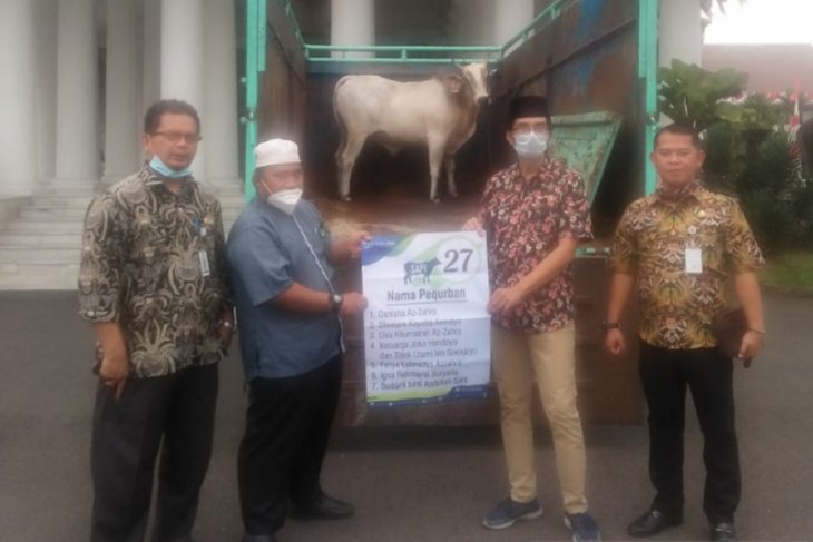 Pemkab Serang siap salurkan puluhan hewan kurban ke sejumlah ponpes