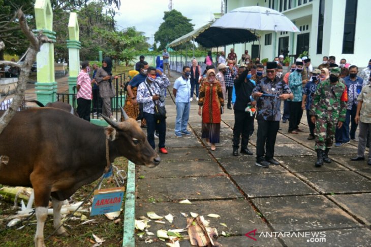 Bupati Malra Idul Adha 1441 Hijiriah ajarkan kesabaran bagi umat Islam
