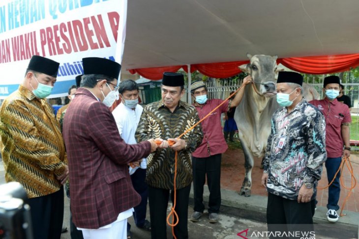 Jokowi serahkan sapi kurban seberat 1 Ton ke Masjid Istiqlal