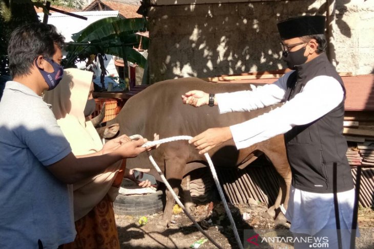 Wali Kota Bogor menyerahkan hewan kurban ke Kampung Cikeas