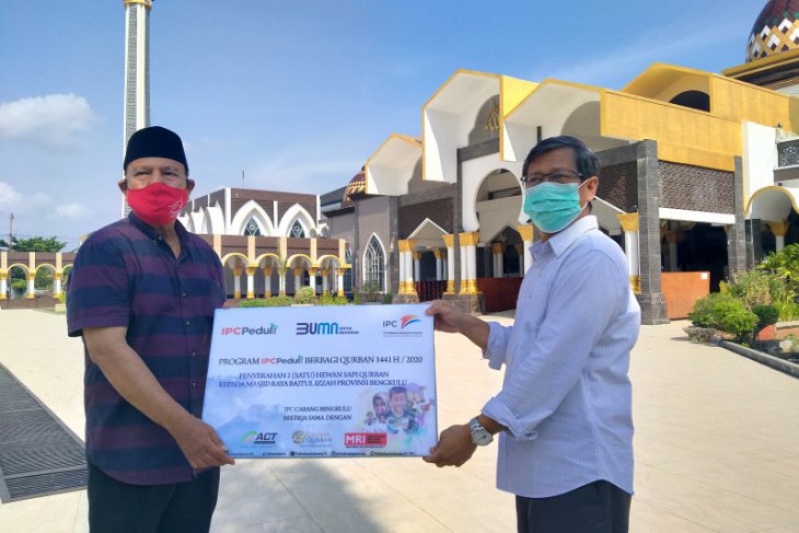 Pelindo Bengkulu salurkan sapi kurban ke lima masjid