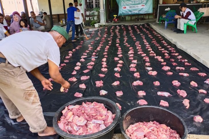 Turki distribusi ratusan ekor sapi untuk warga Aceh